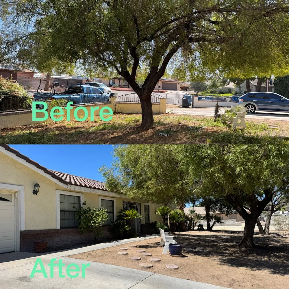 Expert landscape design for outdoor upgrades across Las Vegas, NV - Garden Services JB