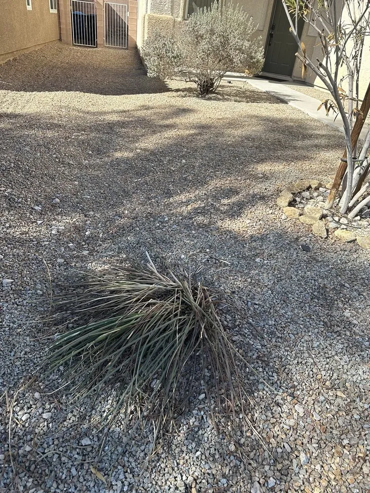 Affordable landscape design for residential properties across Las Vegas, NV - Garden Services JB