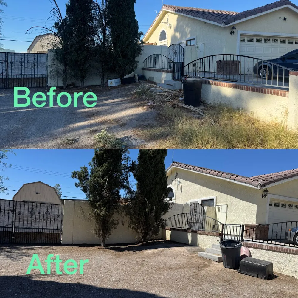 Professional landscaping services experts serving Las Vegas, NV - Garden Services JB