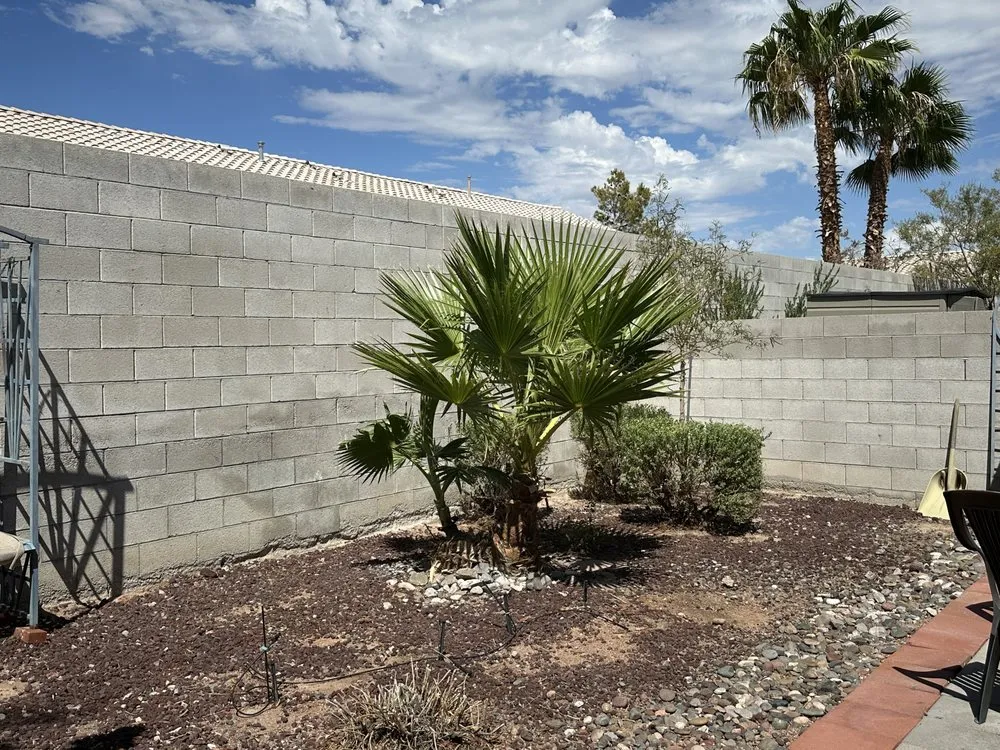 Affordable lawn care service in Las Vegas, NV by Garden Services JB