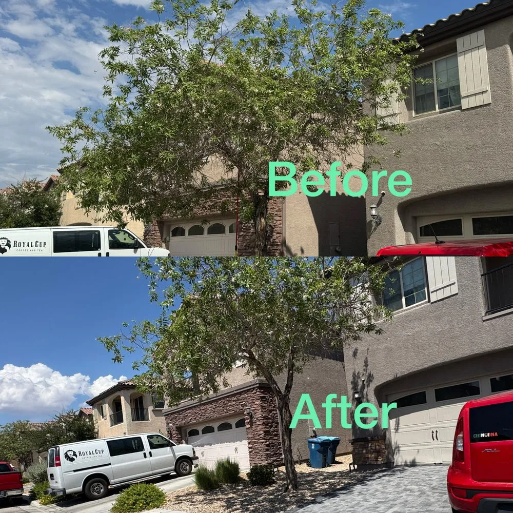Reliable landscaping services for beautiful yards in Las Vegas, NV by Garden Services JB