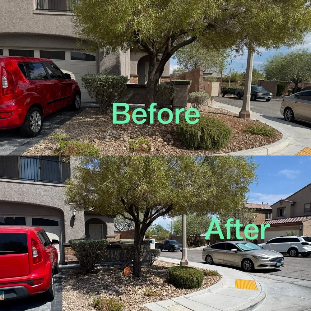 Trusted lawn mowing service experts serving Las Vegas, NV - Garden Services JB