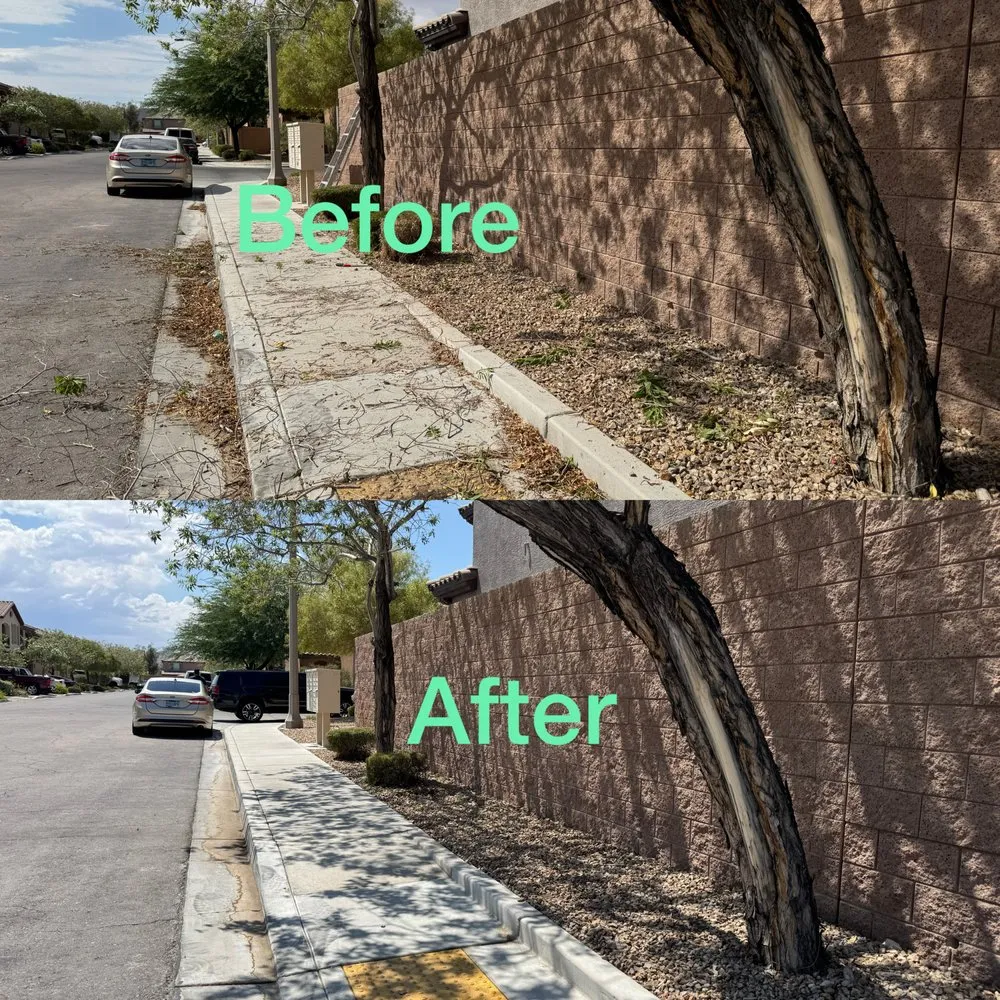 Custom landscaping services in Las Vegas, NV - Garden Services JB