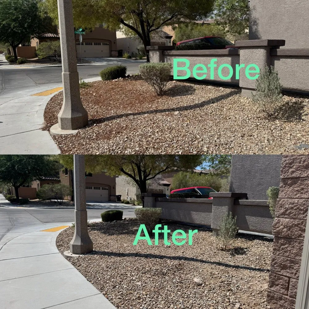 Expert landscaping services near you in Las Vegas, NV by Garden Services JB