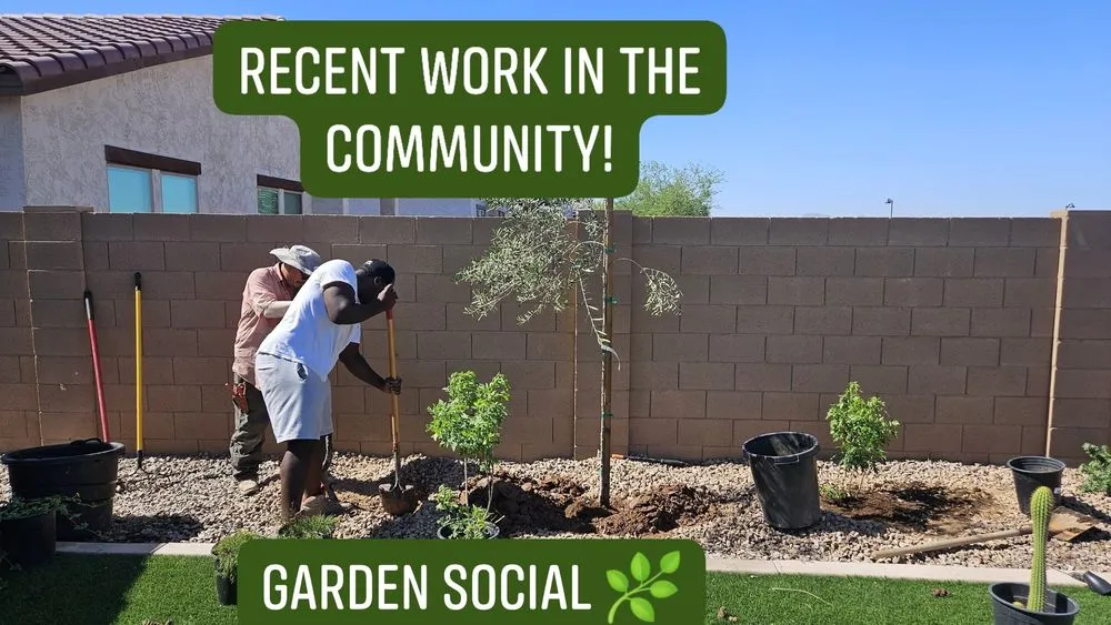 Top-rated landscaping services experts serving Maricopa, AZ - Garden Social