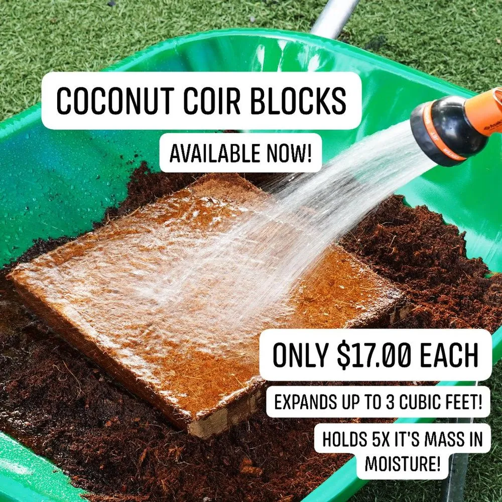 Reliable yard maintenance for beautiful yards across Maricopa, AZ - Garden Social