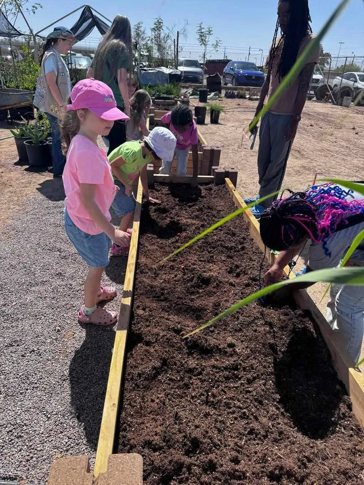 Trusted yard maintenance experts serving Maricopa, AZ - Garden Social