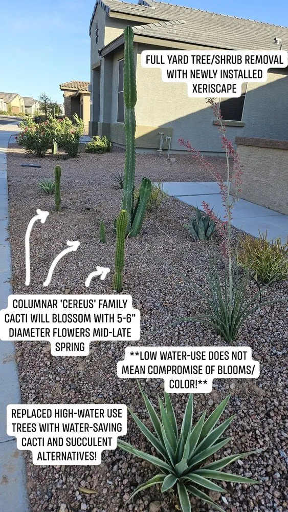 Reliable lawn care service in Maricopa, AZ - Garden Social