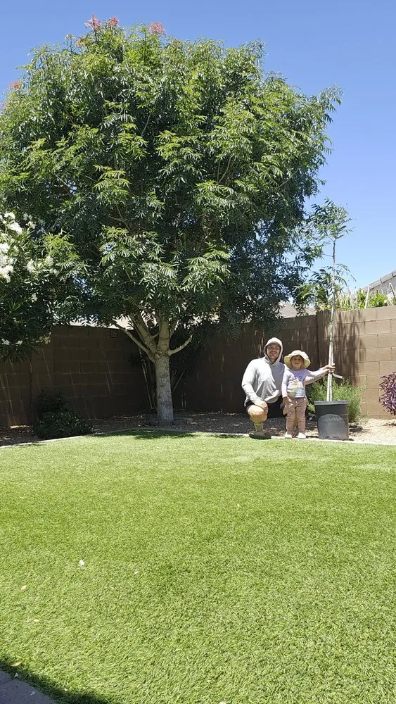 Reliable lawn care service in Maricopa, AZ - Garden Social