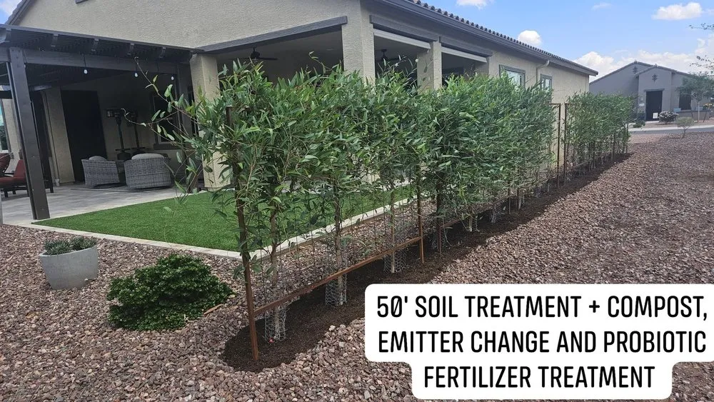 Custom yard cleanup service for beautiful yards in Maricopa, AZ by Garden Social