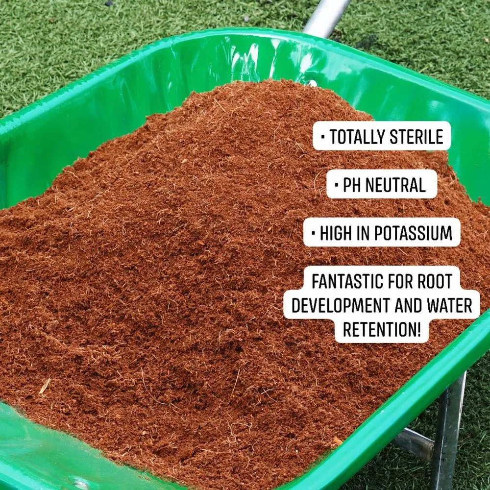 Custom lawn care service in Maricopa, AZ by Garden Social