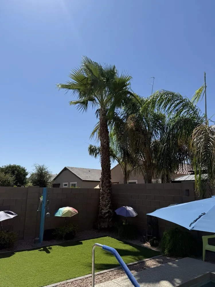 Trusted yard cleanup service experts serving Maricopa, AZ - Garden Social