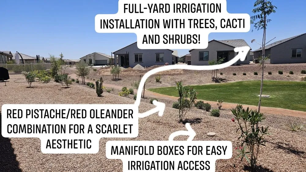 Top-rated outdoor landscaping experts serving Maricopa, AZ - Garden Social