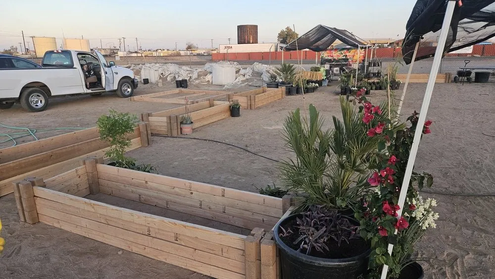 Top-rated landscape design in Maricopa, AZ - Garden Social