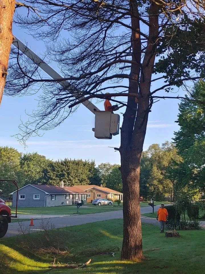 Expert residential landscaping experts serving Shelby Township, MI - Garden Solutions and Maintenance