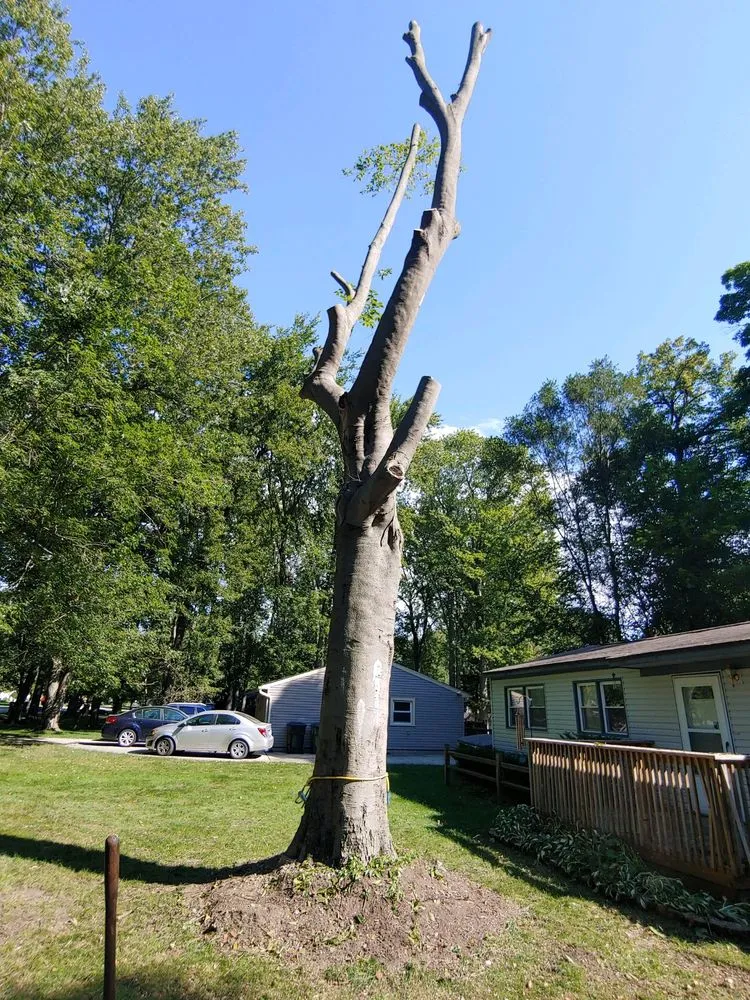 Top-rated residential landscaping in Shelby Township, MI by Garden Solutions and Maintenance