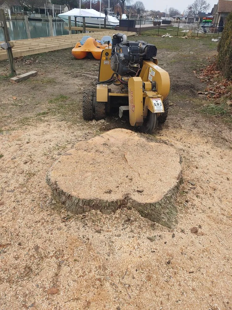 Top-rated lawn mowing service in Shelby Township, MI by Garden Solutions and Maintenance