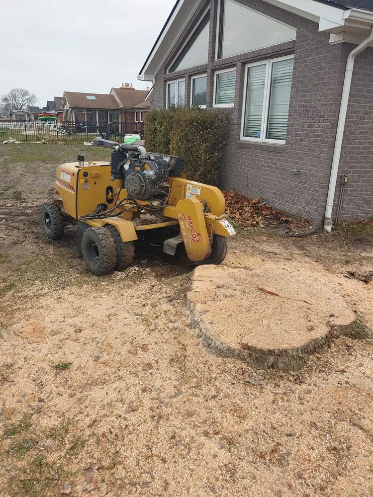 Affordable lawn care service for beautiful yards across Shelby Township, MI - Garden Solutions and Maintenance