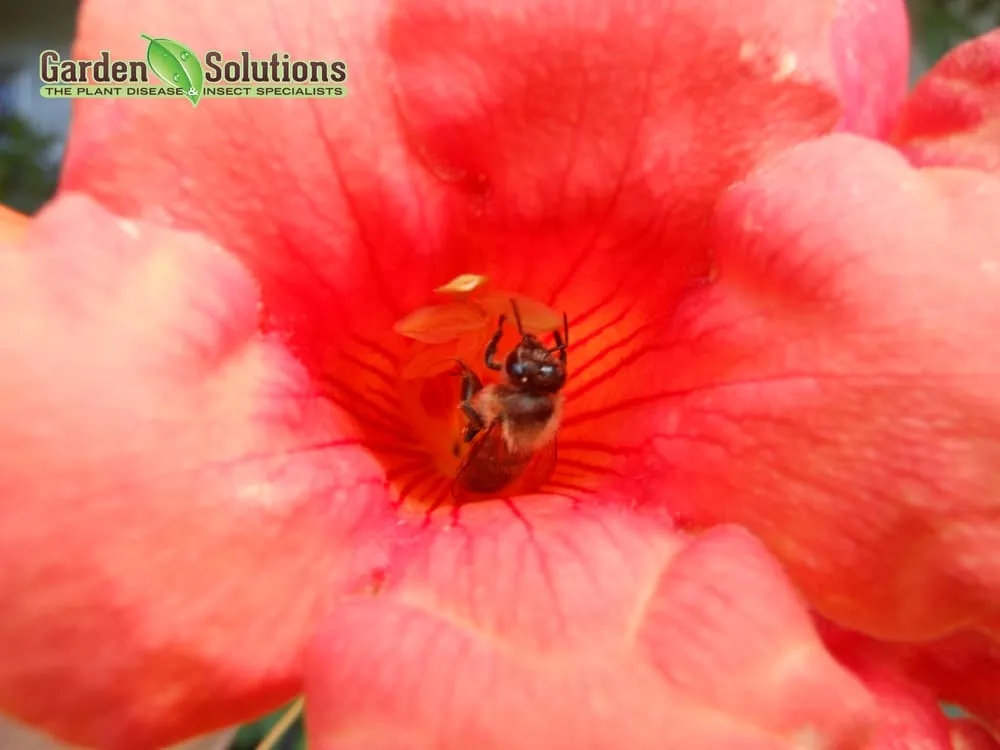 Local landscaping services for outdoor upgrades across Lake Oswego, OR - Garden Solutions