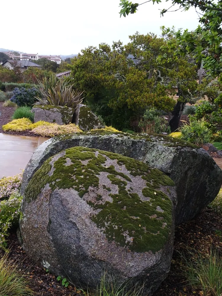 Custom lawn mowing service for year-round maintenance across Seaside, CA - Garden Solutions Landscaping