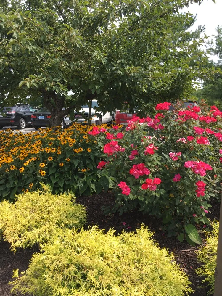 Professional landscaping services experts serving Bel Air, MD - Garden Song Design