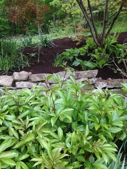 Top-rated landscape installation in West Chester, PA by Garden Source