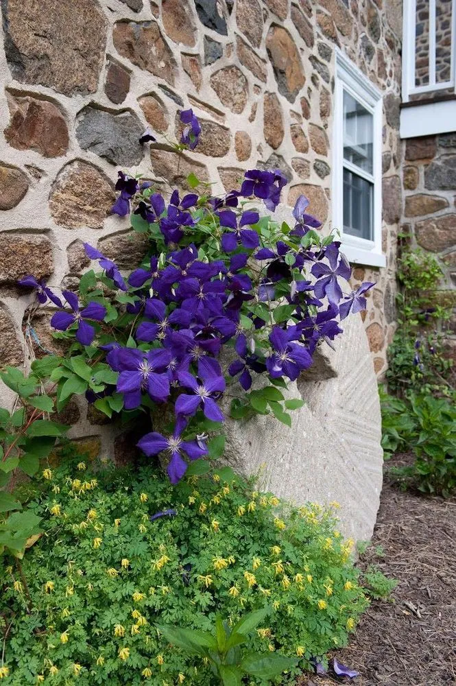 Professional landscape design in West Chester, PA by Garden Source