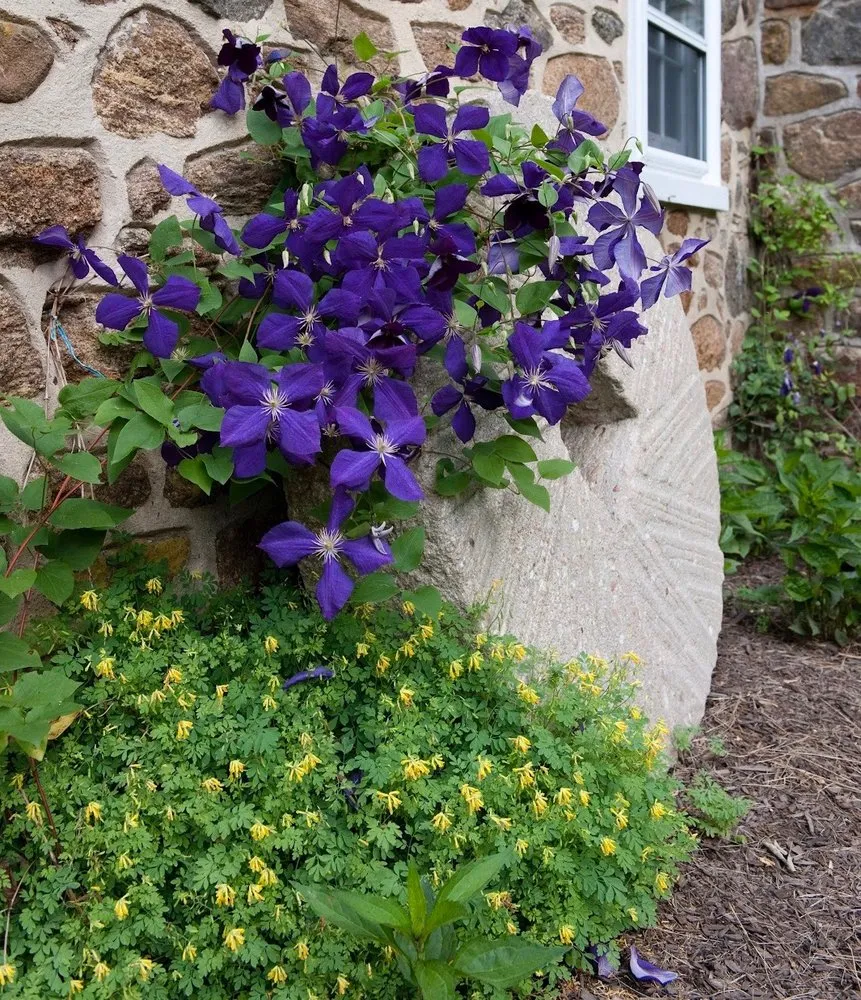 Local lawn care service for homes in West Chester, PA by Garden Source