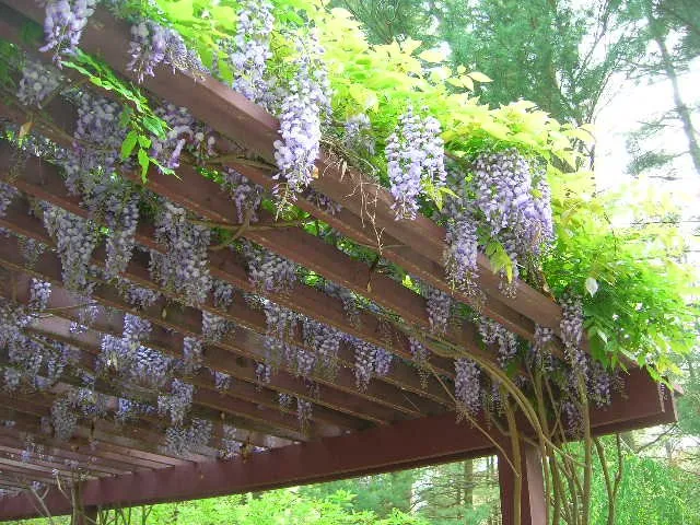 Expert lawn mowing service for homes across Kennett Square, PA - Garden Square Landscaping