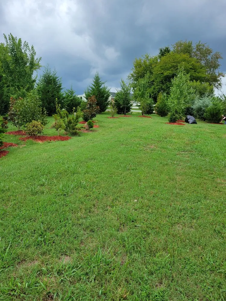 Trusted outdoor landscaping for homes across Spring Hill, TN - Garden Star Landscaping