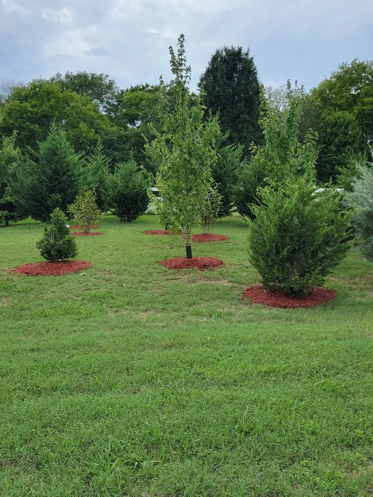 Custom yard maintenance for residential properties in Spring Hill, TN by Garden Star Landscaping