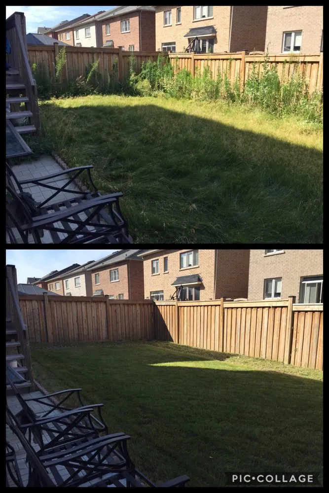 Custom landscaping services in Albuquerque, NM by Garden Stars