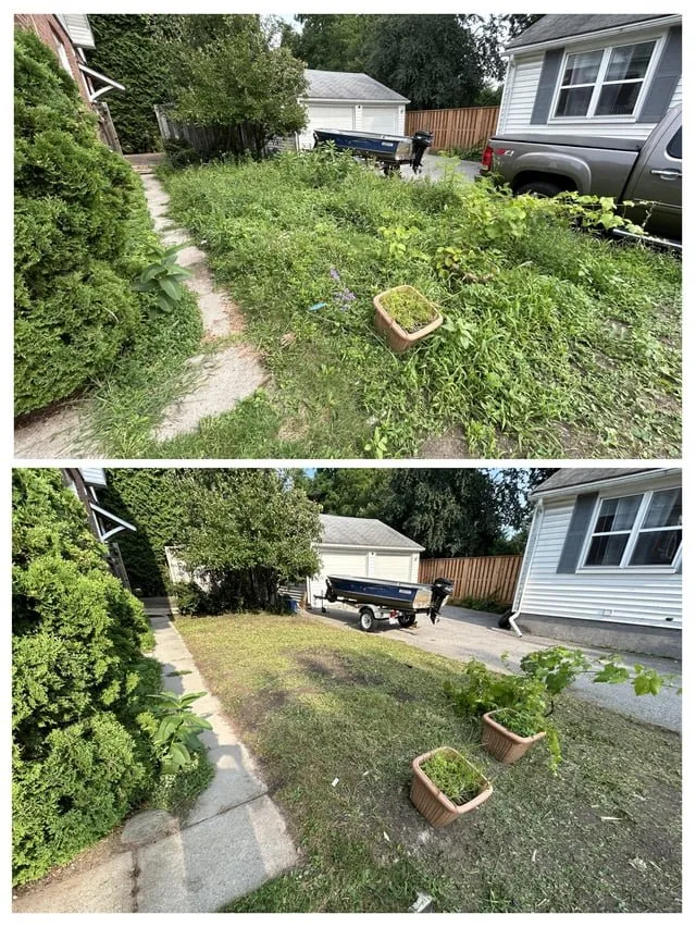 Affordable outdoor landscaping in Albuquerque, NM by Garden Stars