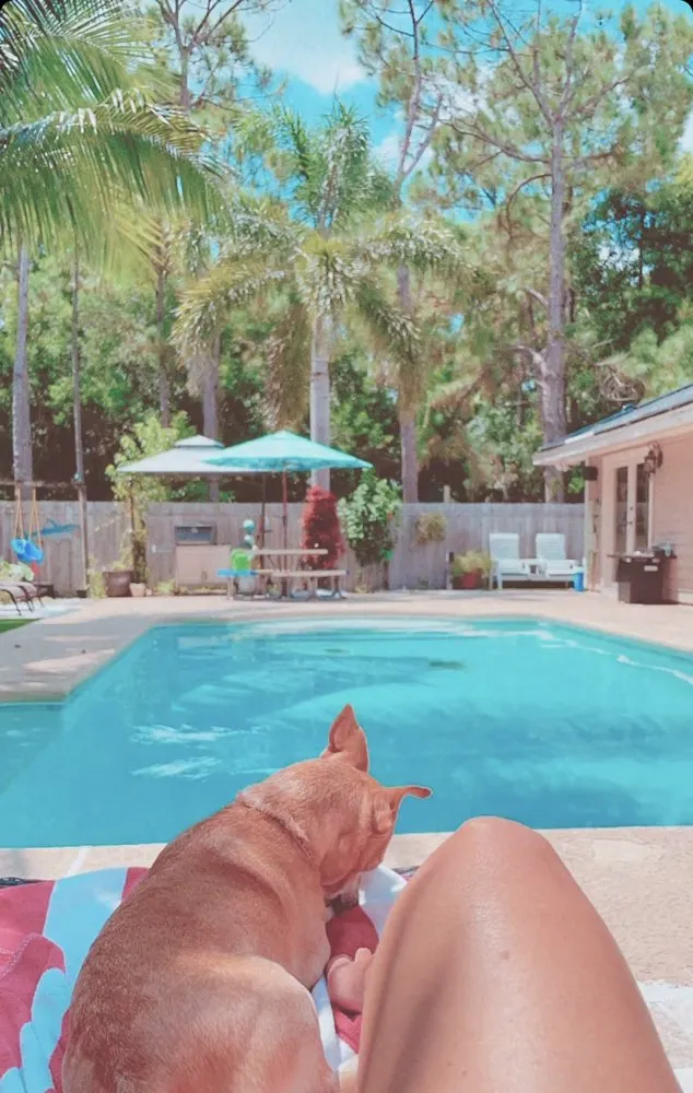 Local outdoor landscaping experts serving Boca Raton, FL - Garden State