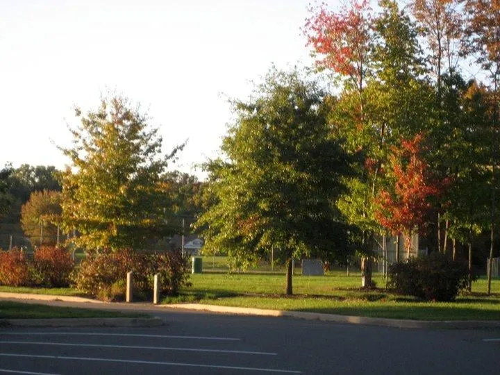 Expert landscape installation in Woodbury, NJ by Garden State Earthworks