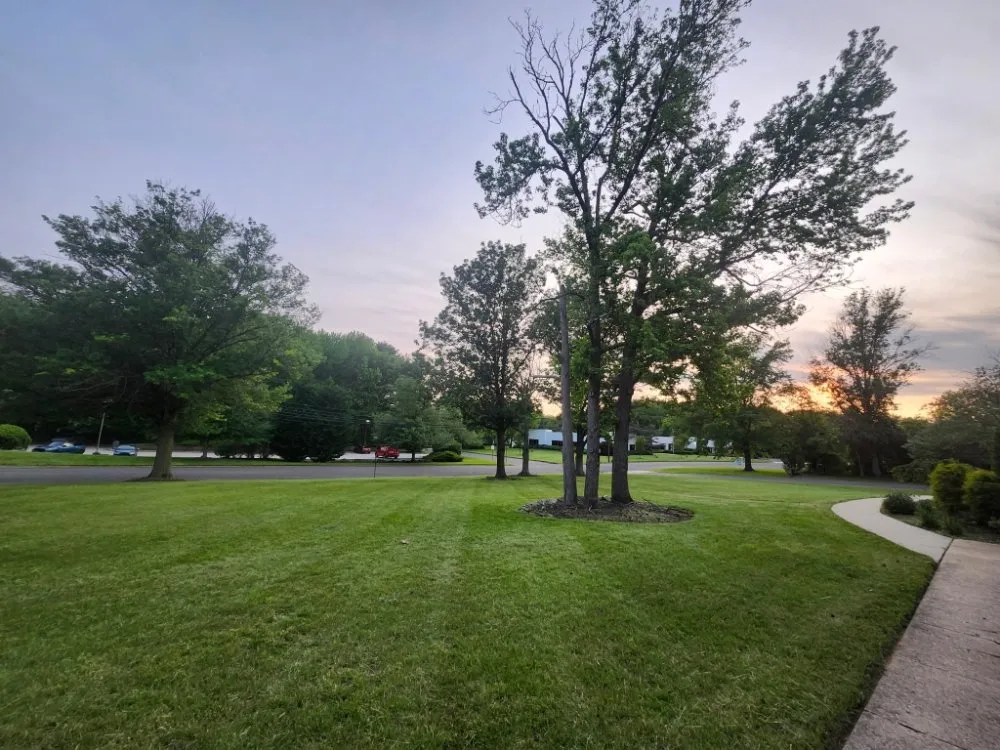 Custom residential landscaping in Mount Laurel Township, NJ by Garden State Gardens