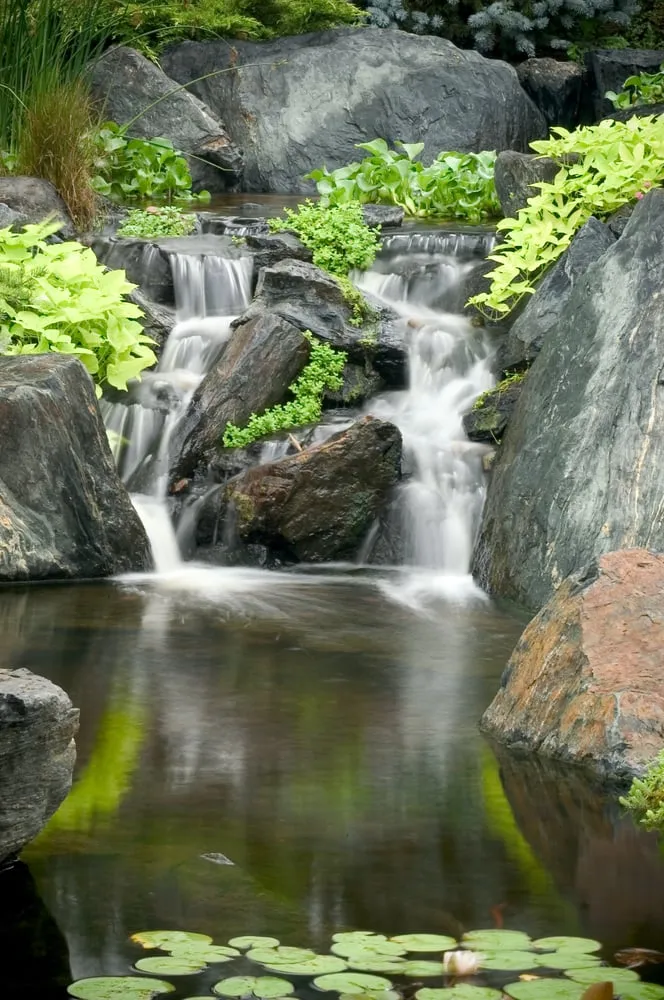 Expert yard cleanup service in Warwick, NY - Garden State Koi Pond & Waterfall Design Center