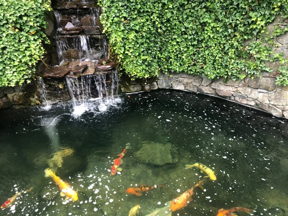 Trusted landscape installation for outdoor upgrades across Warwick, NY - Garden State Koi Pond & Waterfall Design Center