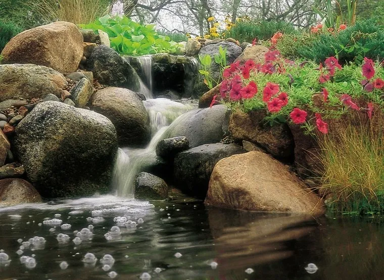 Local yard cleanup service in Warwick, NY - Garden State Koi Pond & Waterfall Design Center