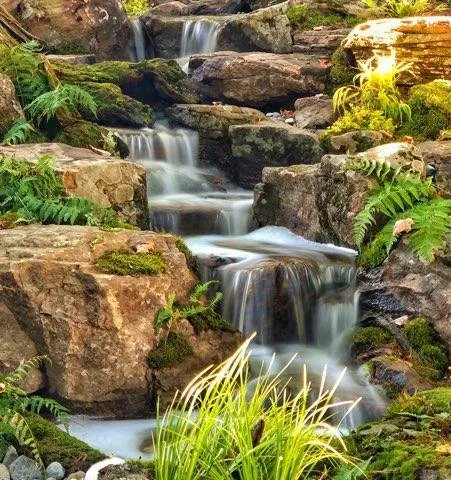 Top-rated landscaping services for homes in Warwick, NY by Garden State Koi Pond & Waterfall Design Center