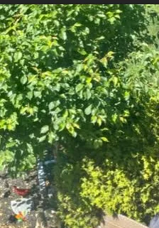 Reliable lawn care service for homes in Monroe Township, NJ by Garden State Landscaping & Tree Service