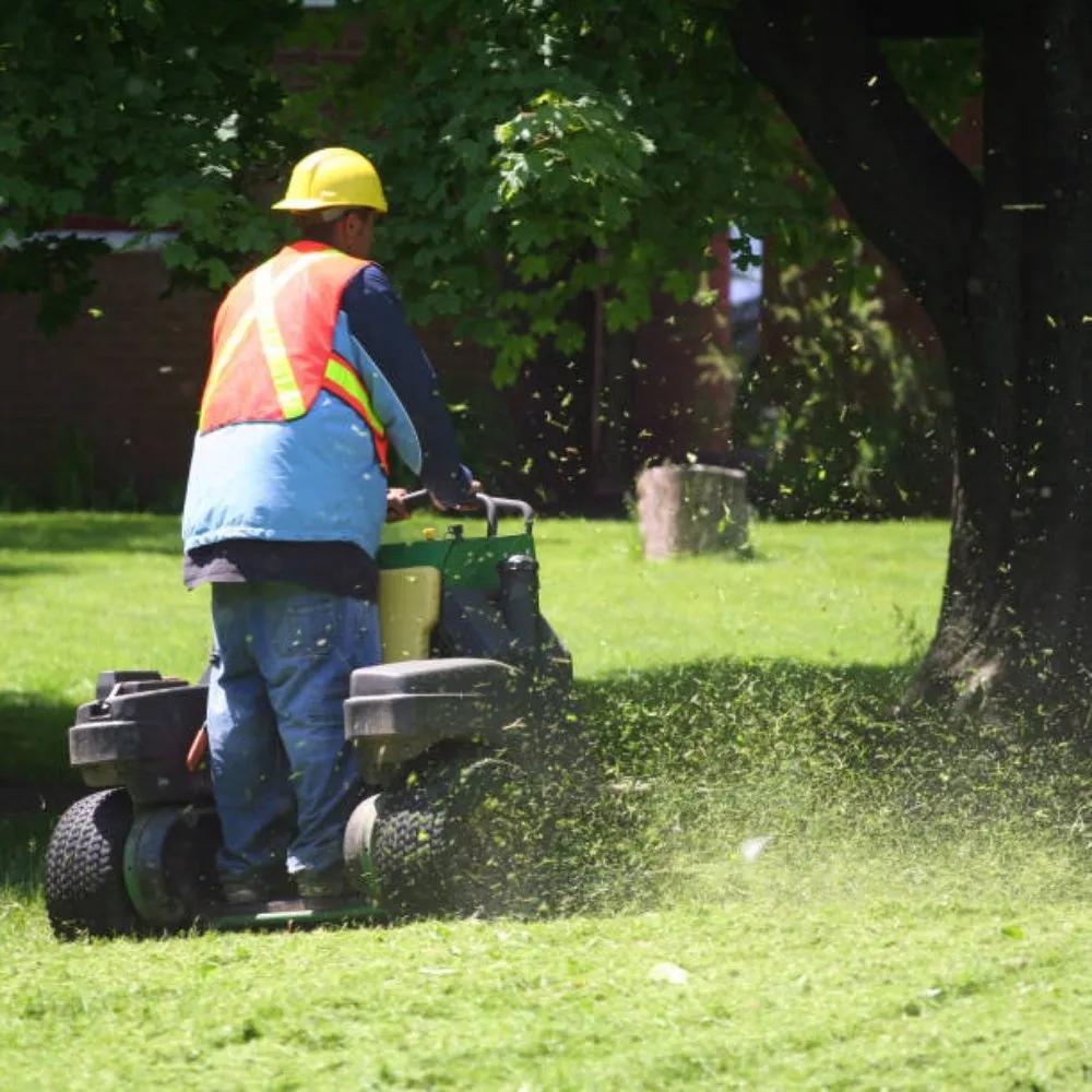 Professional outdoor landscaping for year-round maintenance across IND HILLSIDE, NJ - Garden State Lawn Care