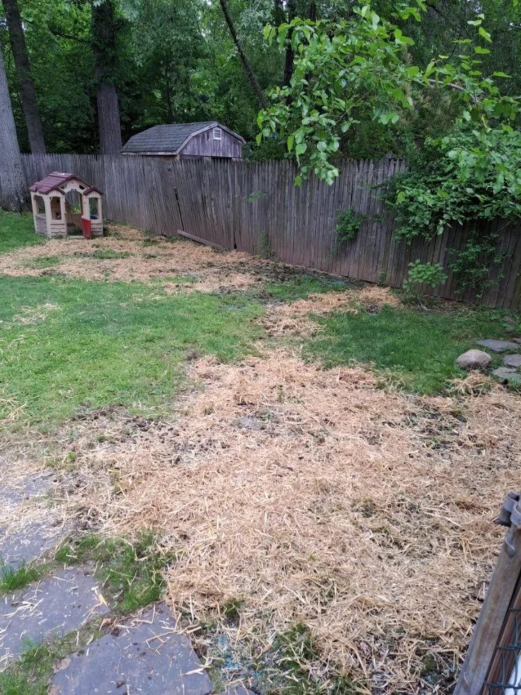 Local yard maintenance for homes across IND HILLSIDE, NJ - Garden State Lawn Care