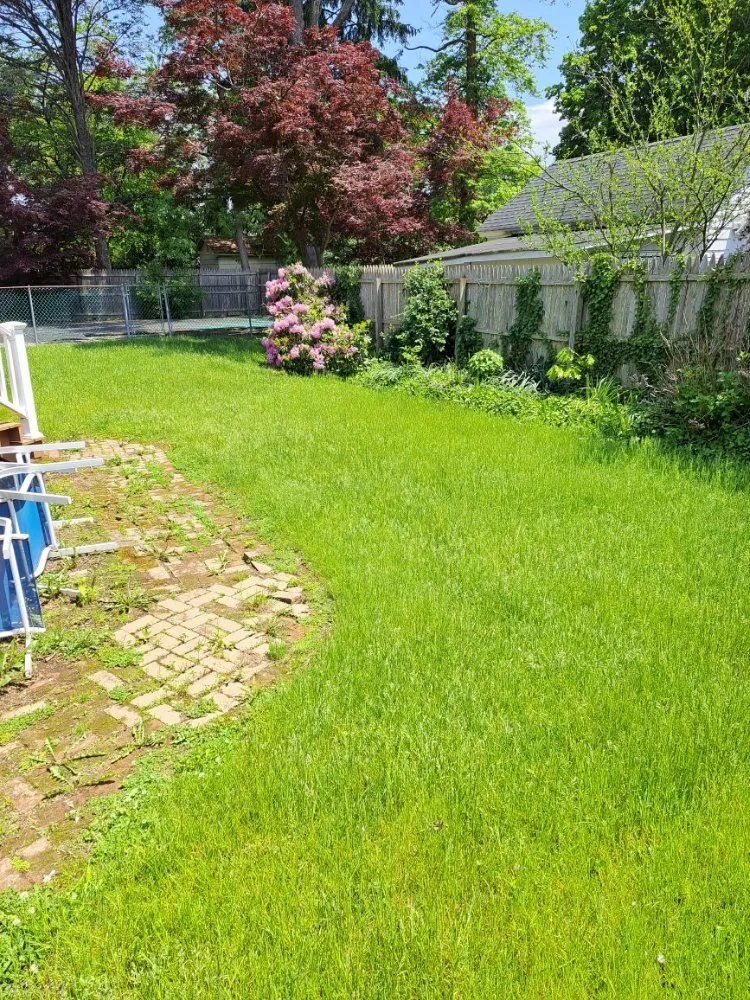 Professional yard cleanup service for outdoor upgrades in IND HILLSIDE, NJ by Garden State Lawn Care