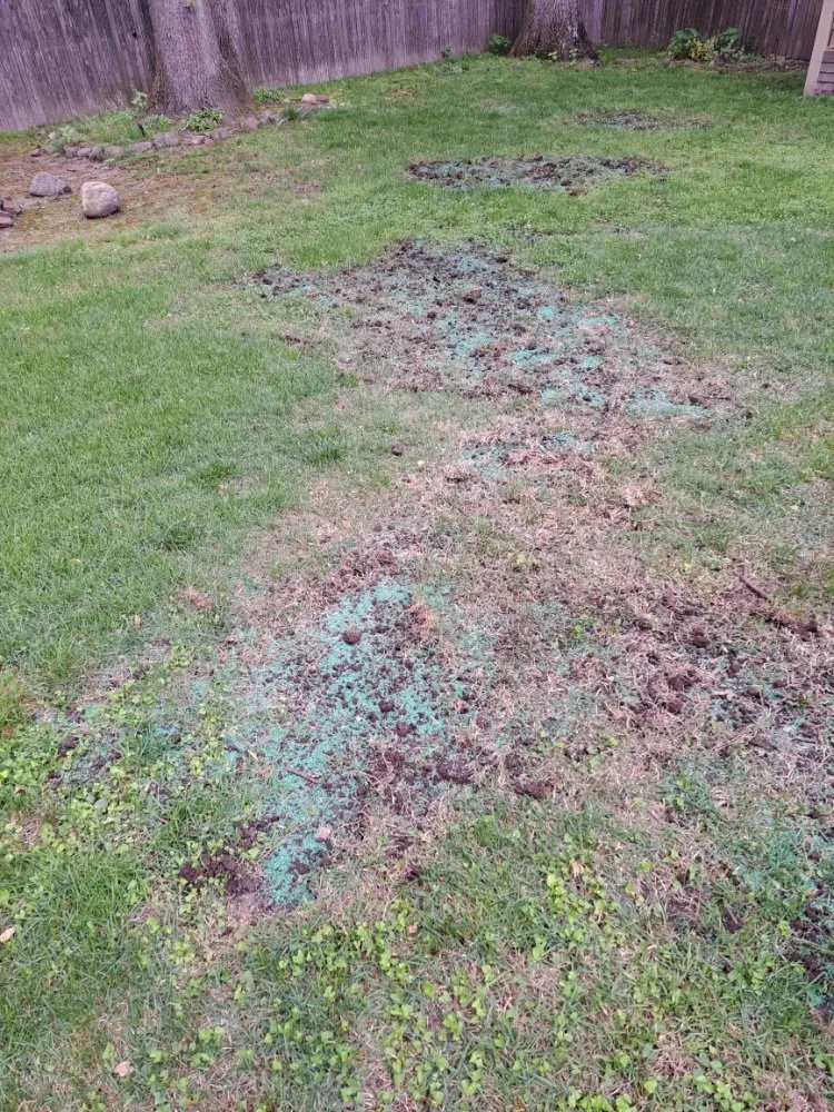 Professional garden landscaping in IND HILLSIDE, NJ - Garden State Lawn Care