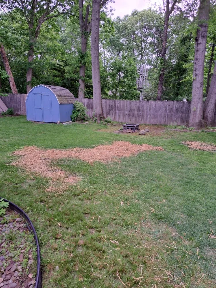 Reliable landscaping services in IND HILLSIDE, NJ - Garden State Lawn Care
