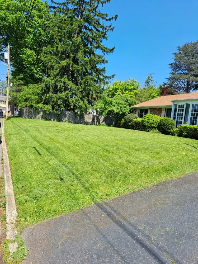 Top-rated yard cleanup service experts serving IND HILLSIDE, NJ - Garden State Lawn Care