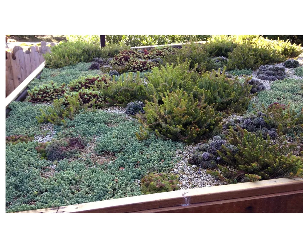 Top-rated landscape installation for beautiful yards across Portland, OR - Garden Stories