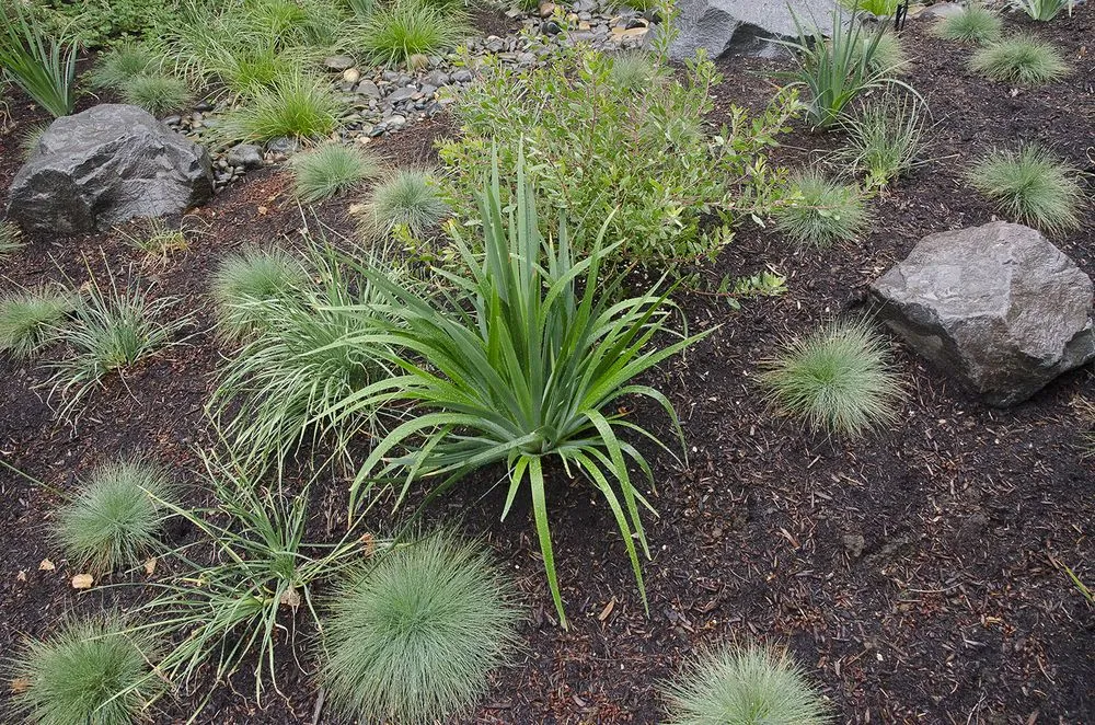 Reliable landscape design experts serving Portland, OR - Garden Stories