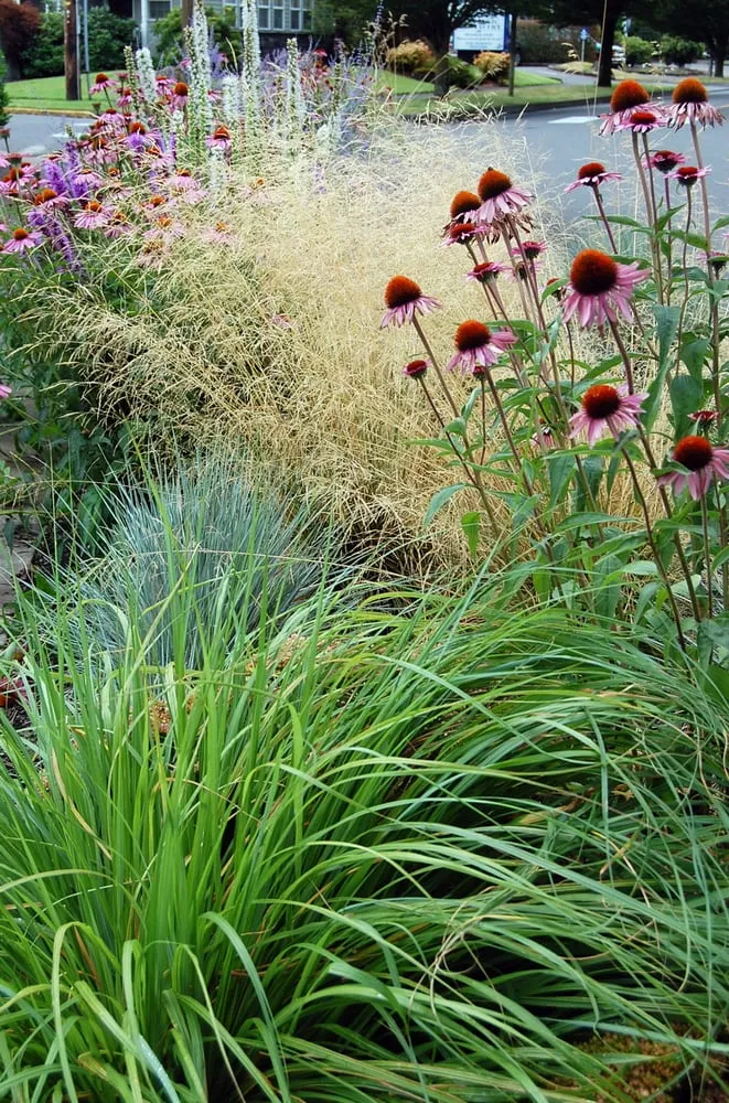 Expert garden landscaping in Portland, OR by Garden Stories